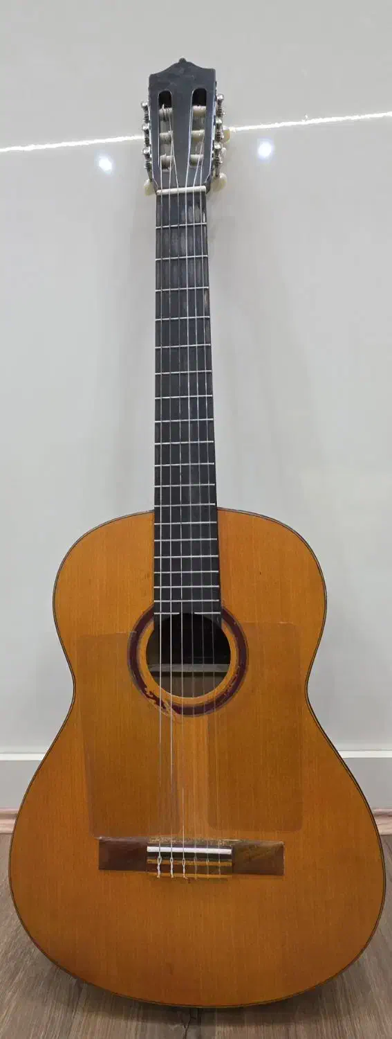 گیتار Domingo c70|گیتار، بیس، امپلیفایر|شیراز, باغ تخت|دیوار