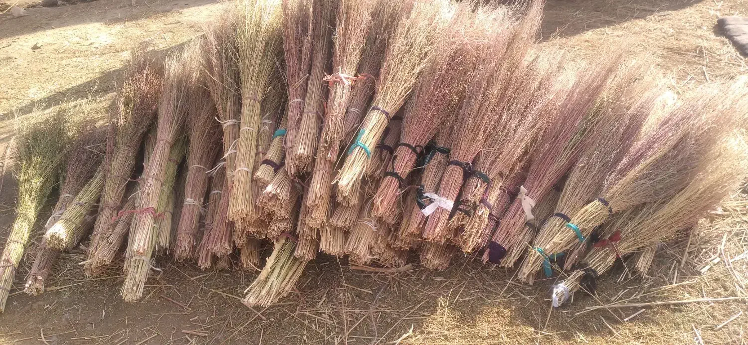 جاروی بلند|لوازم نظافت|یاسوج, |دیوار