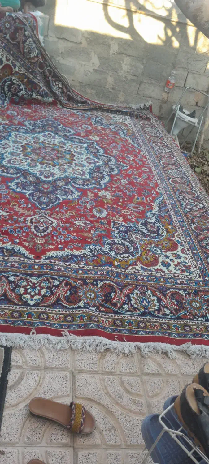 فرش|فرش|گلبهار, نوبهار|دیوار