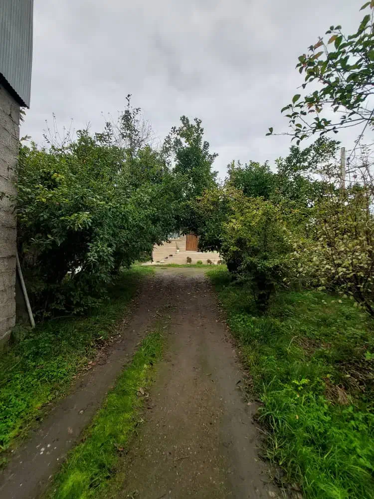 اجاره خانه ویلایی۵۰۰متری با۸۰ متر بنا در پاکت سازی|اجارهٔ خانه و ویلا|رشت, حومه رشت|دیوار