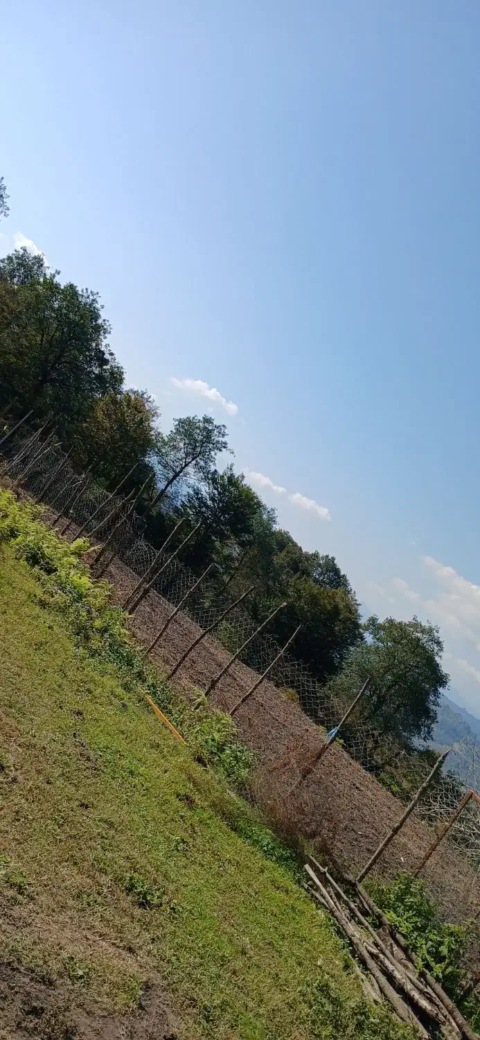 فروش زمین و خانه|فروش خانه و ویلا|آلاشت, |دیوار