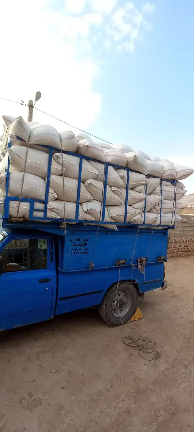 کاه گندم|حیوانات مزرعه|اهواز, امانیه|دیوار