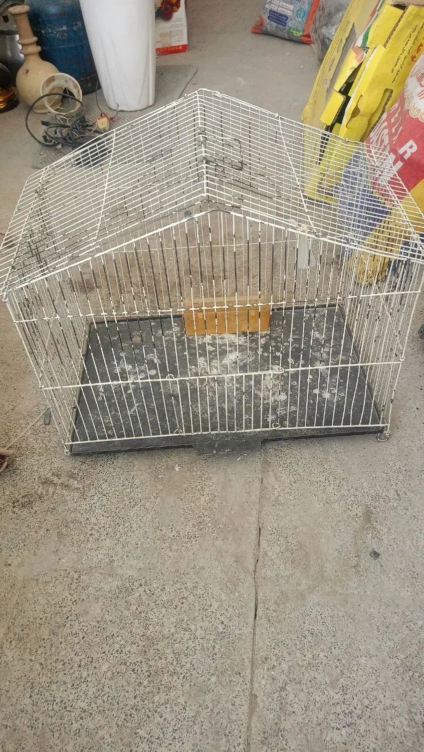 قفس پرنده|لوازم جانبی حیوانات|مشهد, شهید احمدی روشن|دیوار