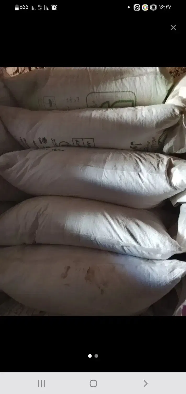 کودسفید|خدمات باغبانی و درختکاری|بروجرد, |دیوار