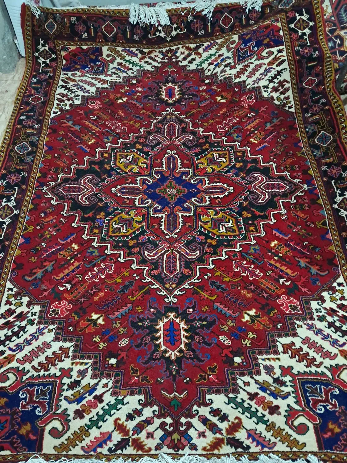 یک عدد ۹ متری مهربان|فرش|تبریز, |دیوار