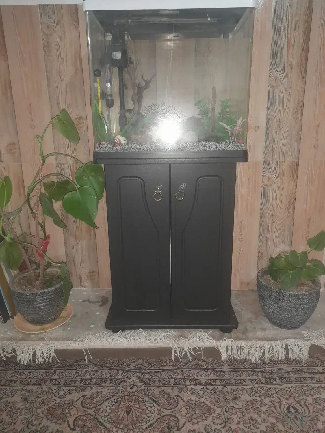 فروش آکواریوم فروشی|ماهی|برخوار, |دیوار