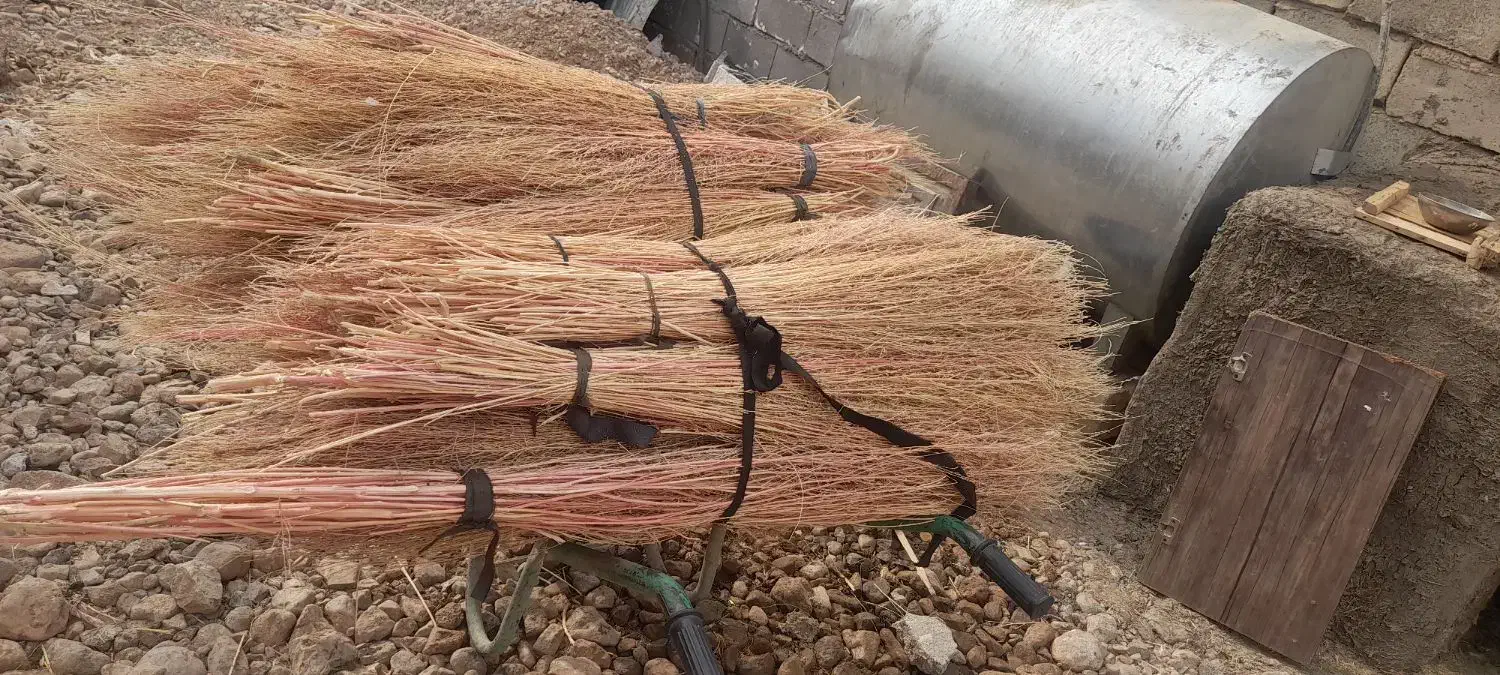 ۱۰۰ دسته جارو هست|لوازم نظافت|شیروان (لرستان), |دیوار