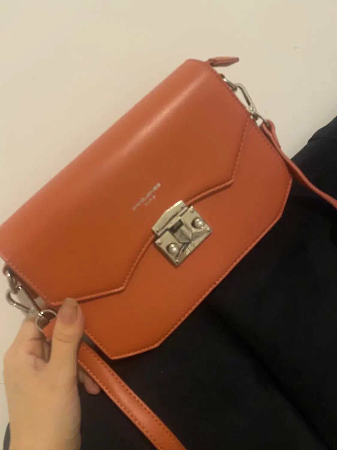 کیف برند دیوید جونز|کیف، کفش، کمربند|رشت, منظریه|دیوار