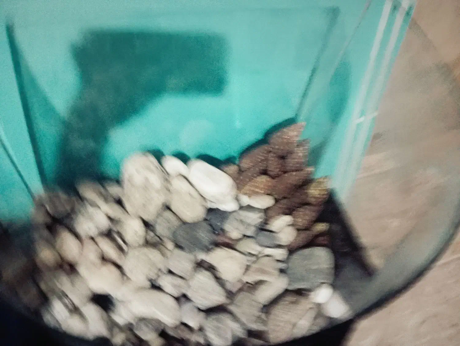 آکواریوم ماهی|ماهی|شهریار, شهرک وائین|دیوار