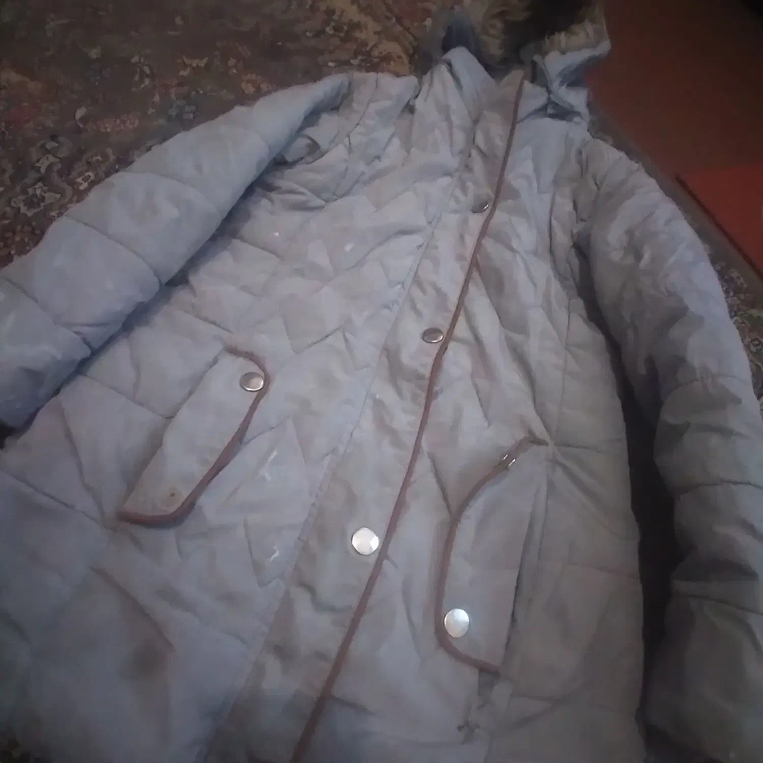 کاپشن|لباس|گنبد کاووس, |دیوار