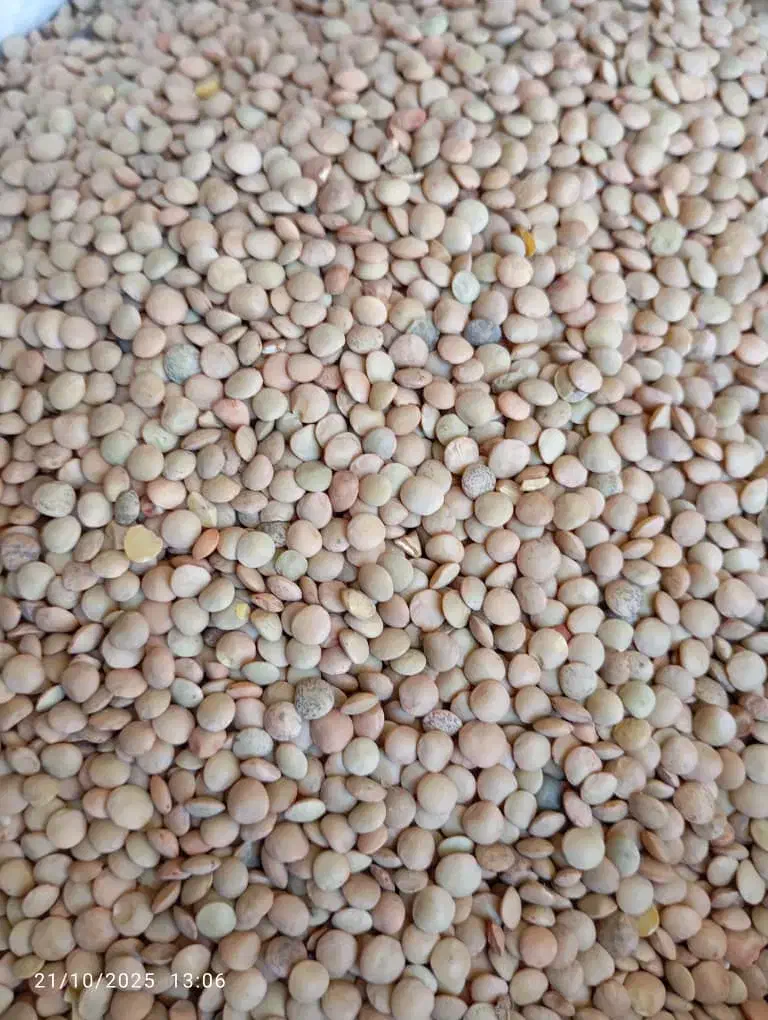 فروش برنج وخورده برنج|خوردنی و آشامیدنی|جهرم, |دیوار