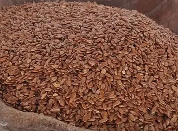 عمده تخم کتان|خوردنی و آشامیدنی|شیراز, باغ تخت|دیوار