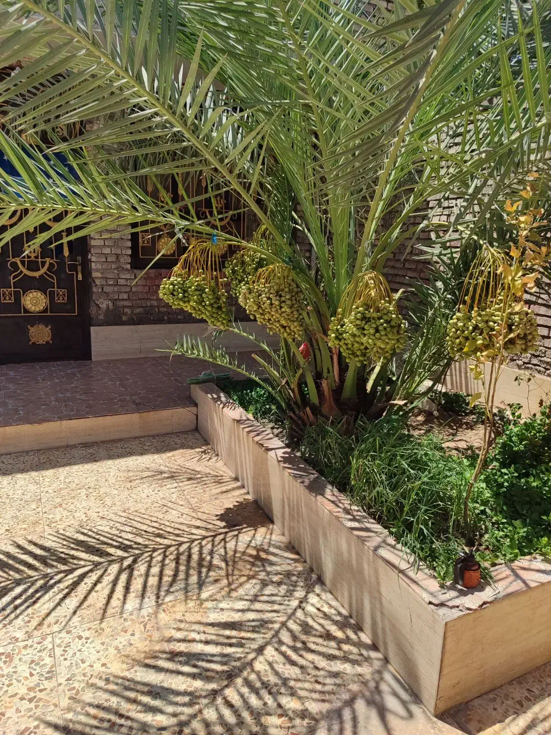 خانه ویلایی واقع در روستای دامغه کوچک|فروش خانه و ویلا|اهواز, غیزانیه|دیوار