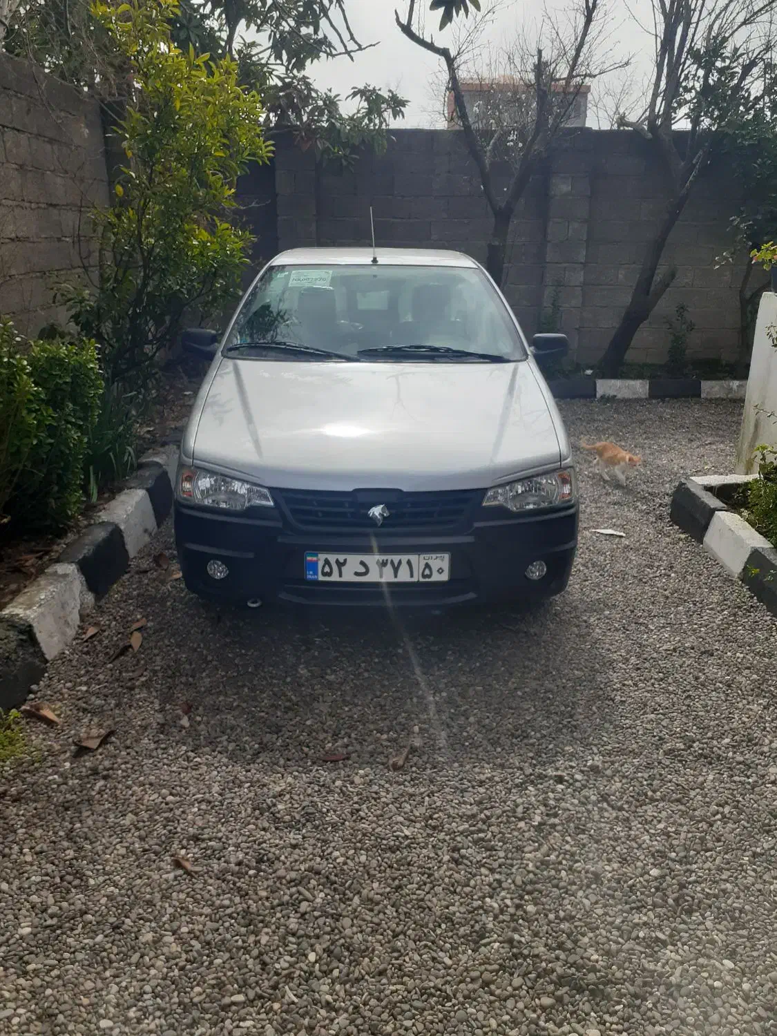 پخش مواد غذایی شخصی|استخدام بازاریابی و فروش|کوچصفهان, |دیوار