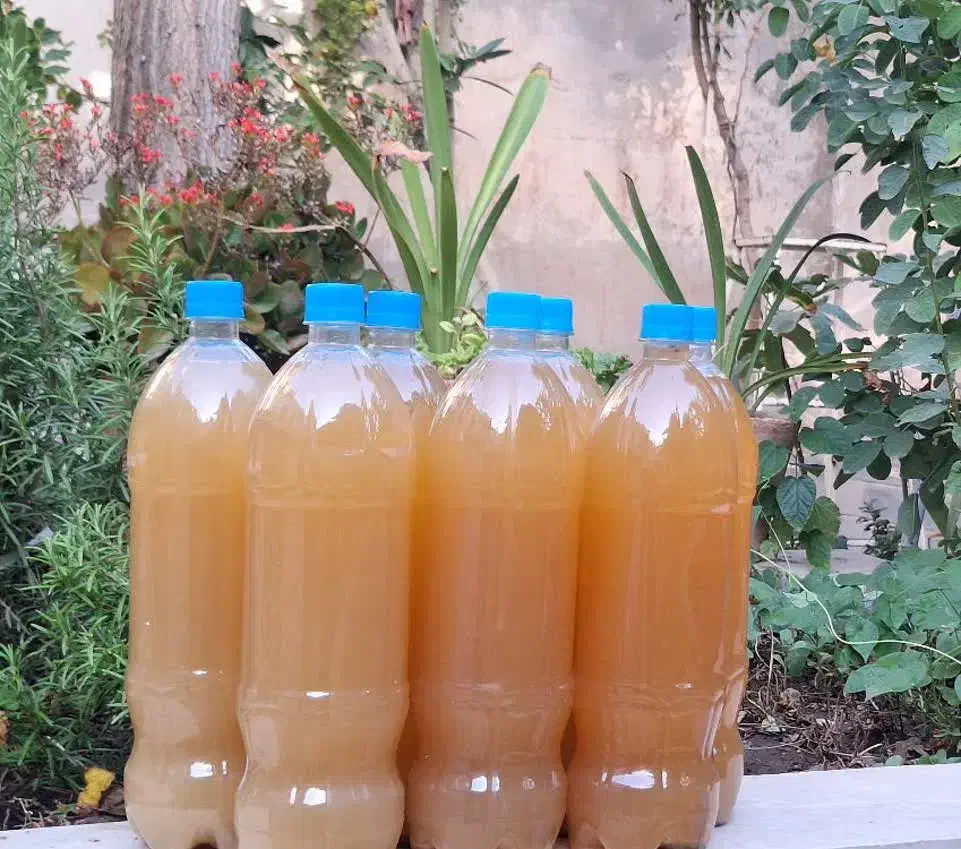 انواع سرکه (سیب ، انگور ، خرما)|خوردنی و آشامیدنی|سبزوار, باهنر|دیوار