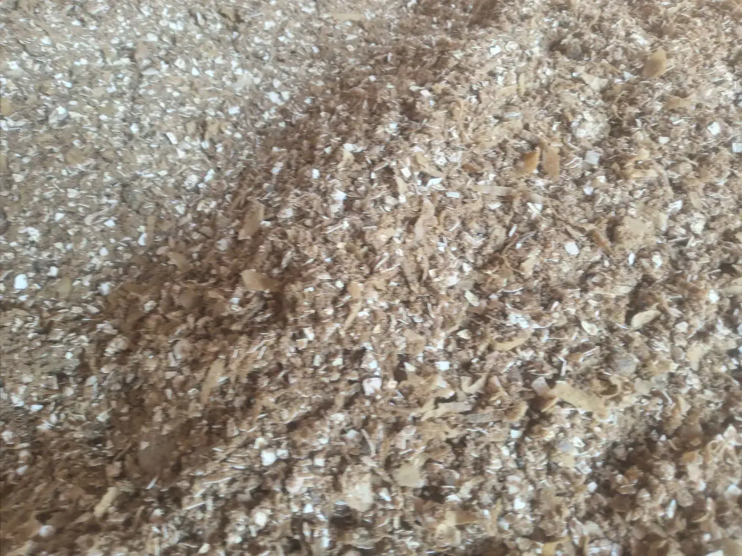 پودر گوشت جوجه با پروتئین بالا|حیوانات مزرعه|مشهد, امیریه|دیوار