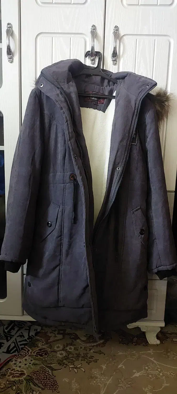 پالتو شیک|لباس|موگوئی, |دیوار