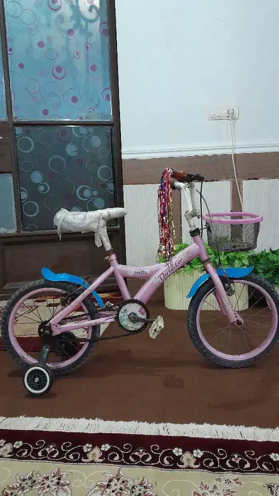 دوچرخه دخترانه|دوچرخه، اسکیت، اسکوتر|کارون, |دیوار