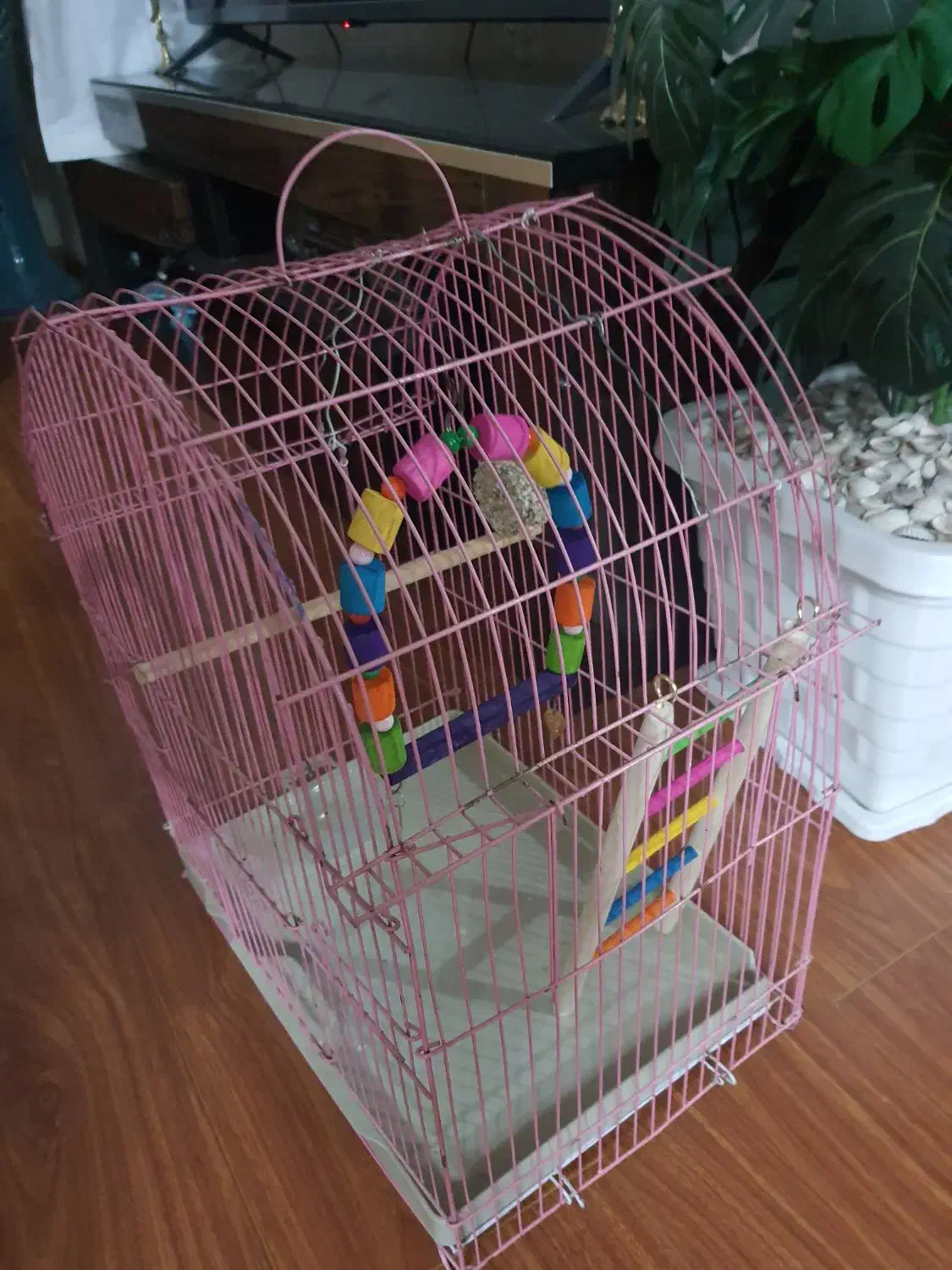 قفس|لوازم جانبی حیوانات|همدان, |دیوار