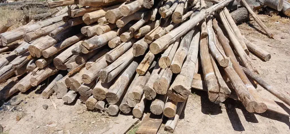 خرید و فروش چوب با بهترین قیمت|عمدهفروشی|شیراز, کیان آباد|دیوار