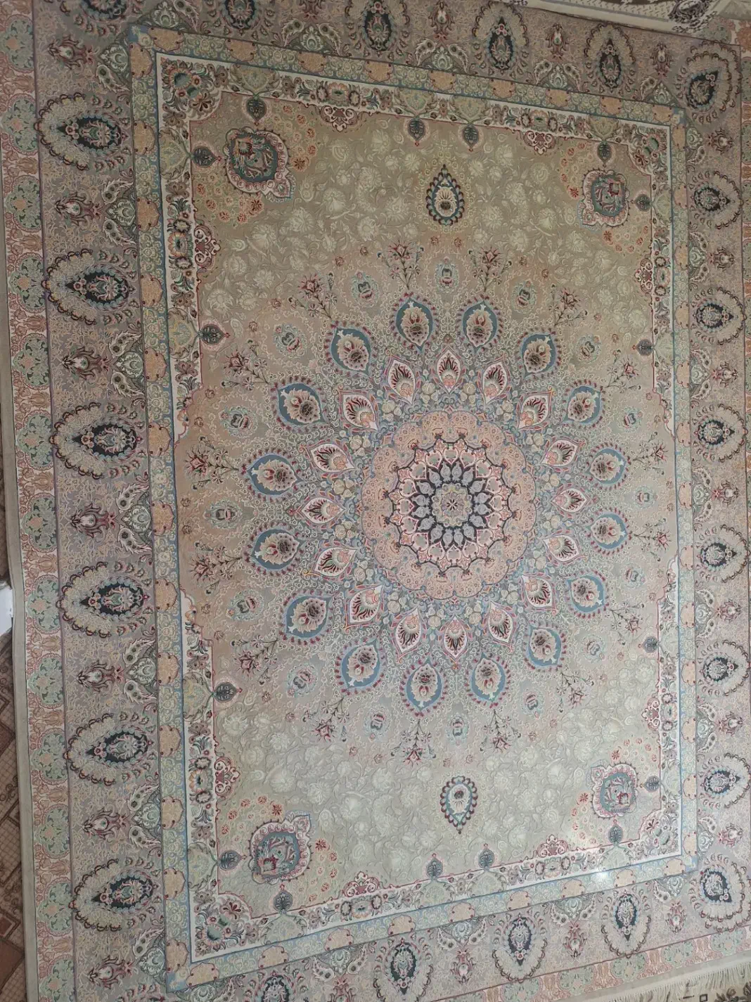 فرش ۱۲متری 1000شانه|فرش|قیدار, |دیوار