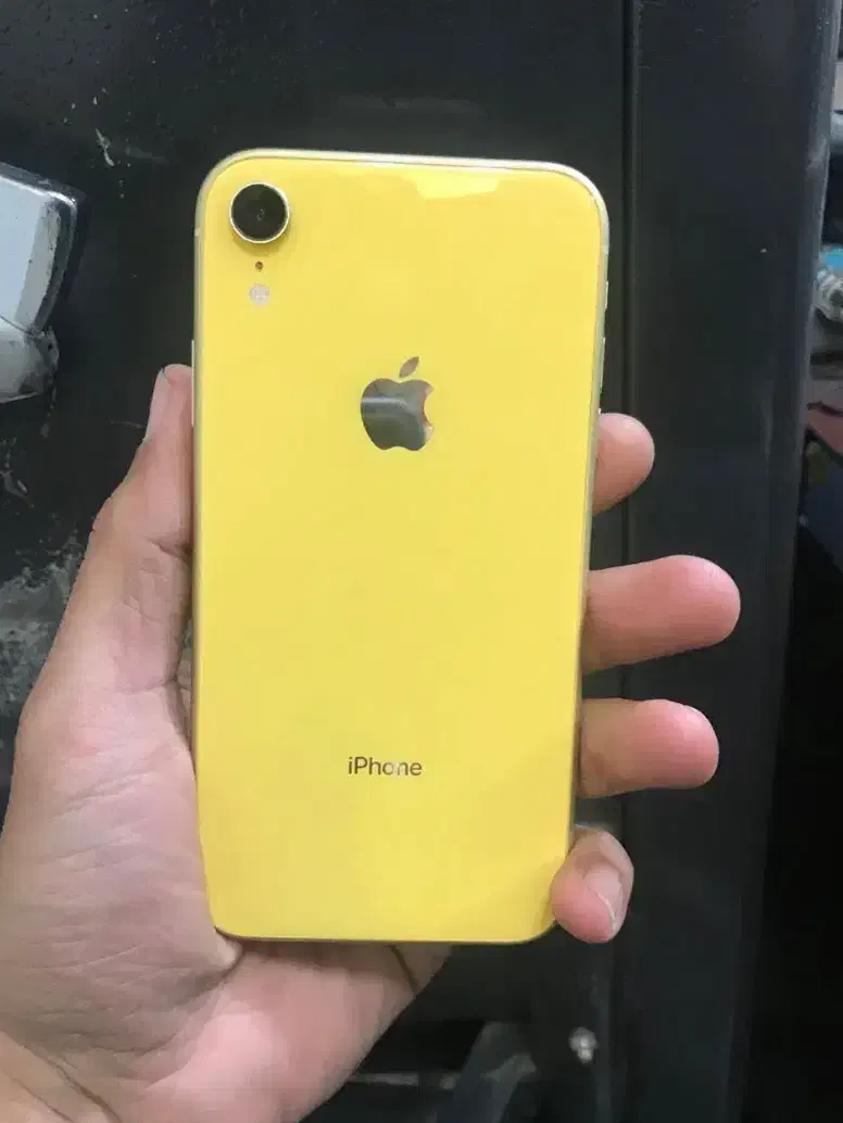 آیفون Xr|موبایل|دوگنبدان, |دیوار