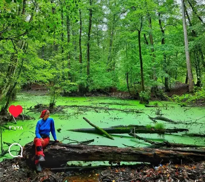 تور  مرداب  وربن  جاده چالوس کمپ  یه روزه|تور و چارتر|تهران, صادقیه|دیوار