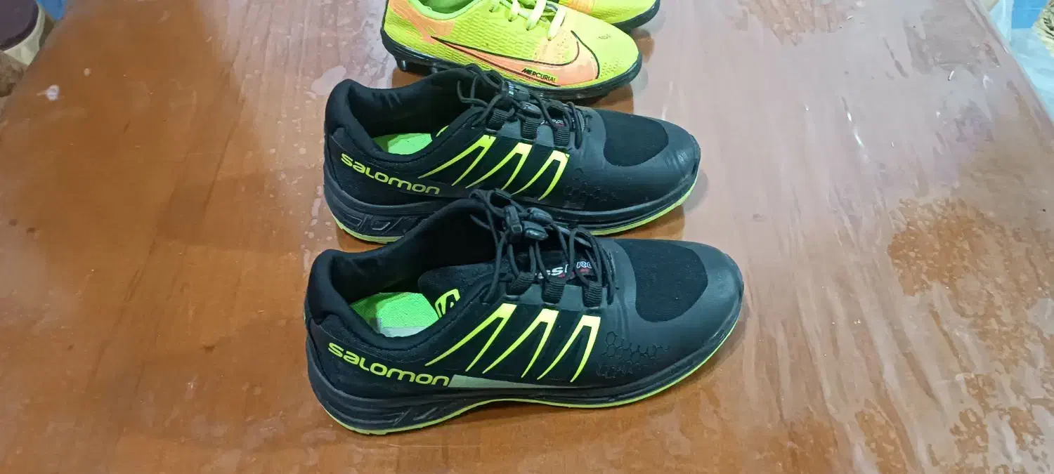 کفش اسپرت|کیف، کفش، کمربند|شوش, |دیوار