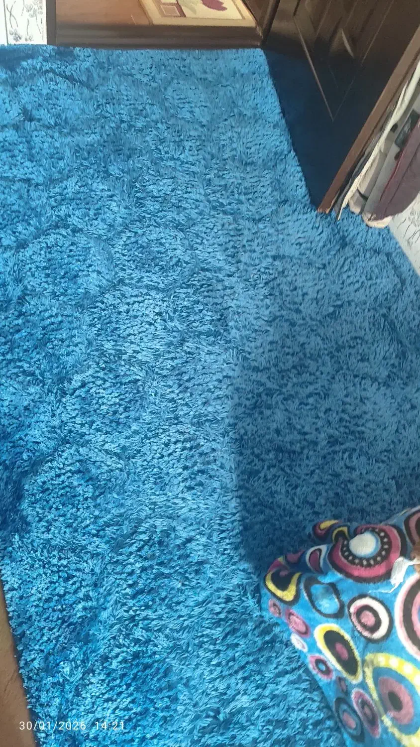 قالیچه ترک|فرش|کرمان, |دیوار