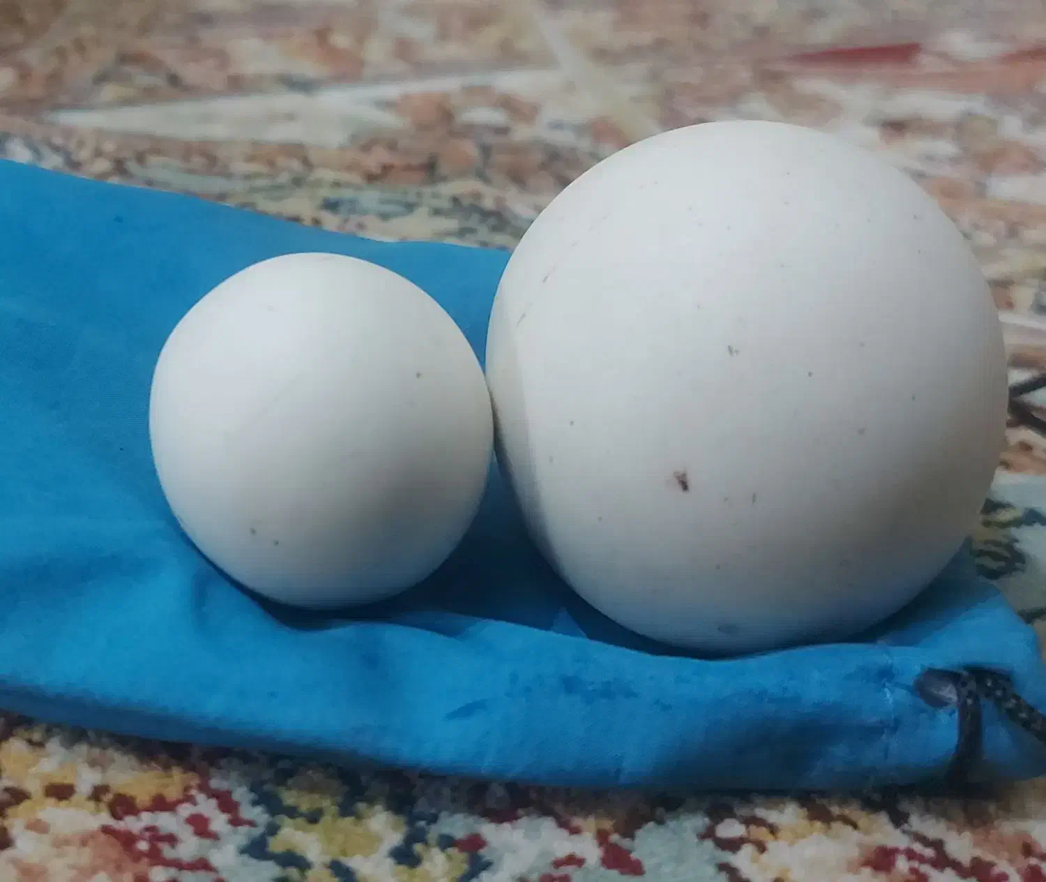 سنگ زینتی قدیمی که تو کوه پیدا کردن|کلکسیون اشیاء عتیقه|چرداول, |دیوار