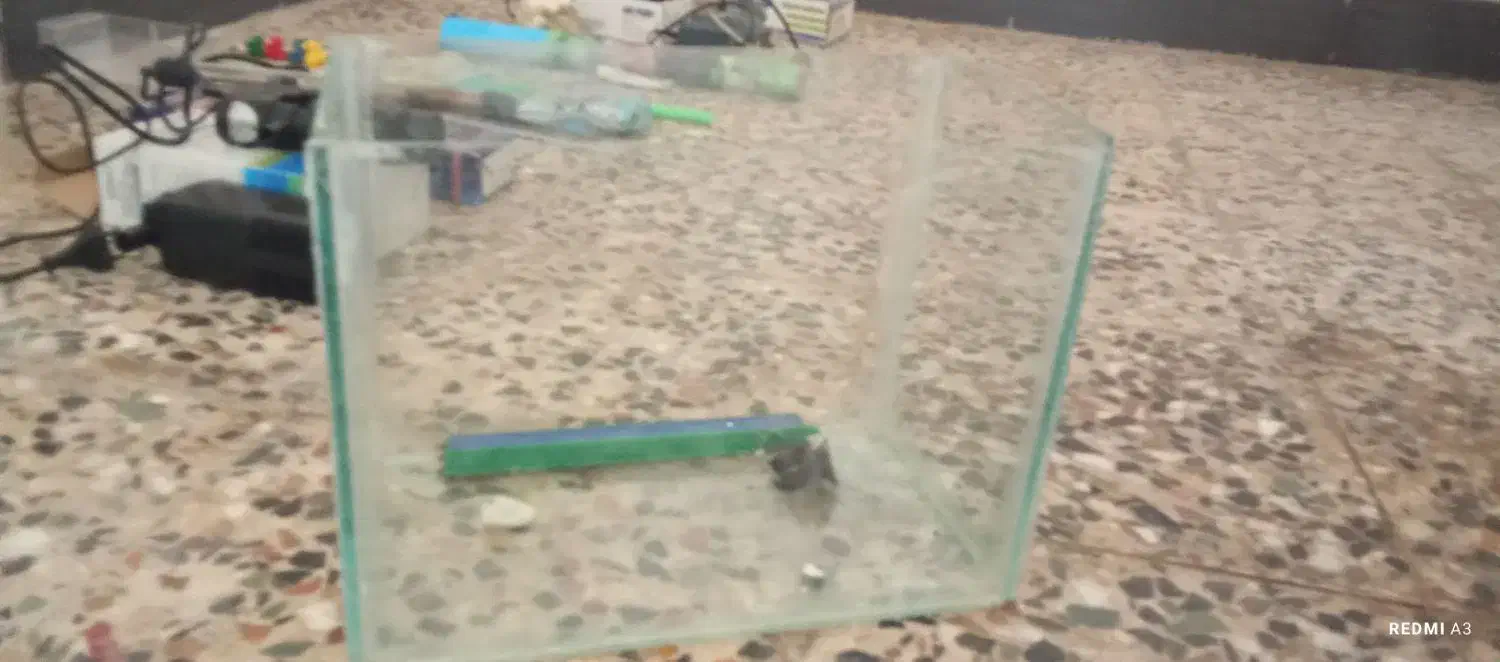 اکواریوم ارزان|ماهی|خرم‌آباد, |دیوار