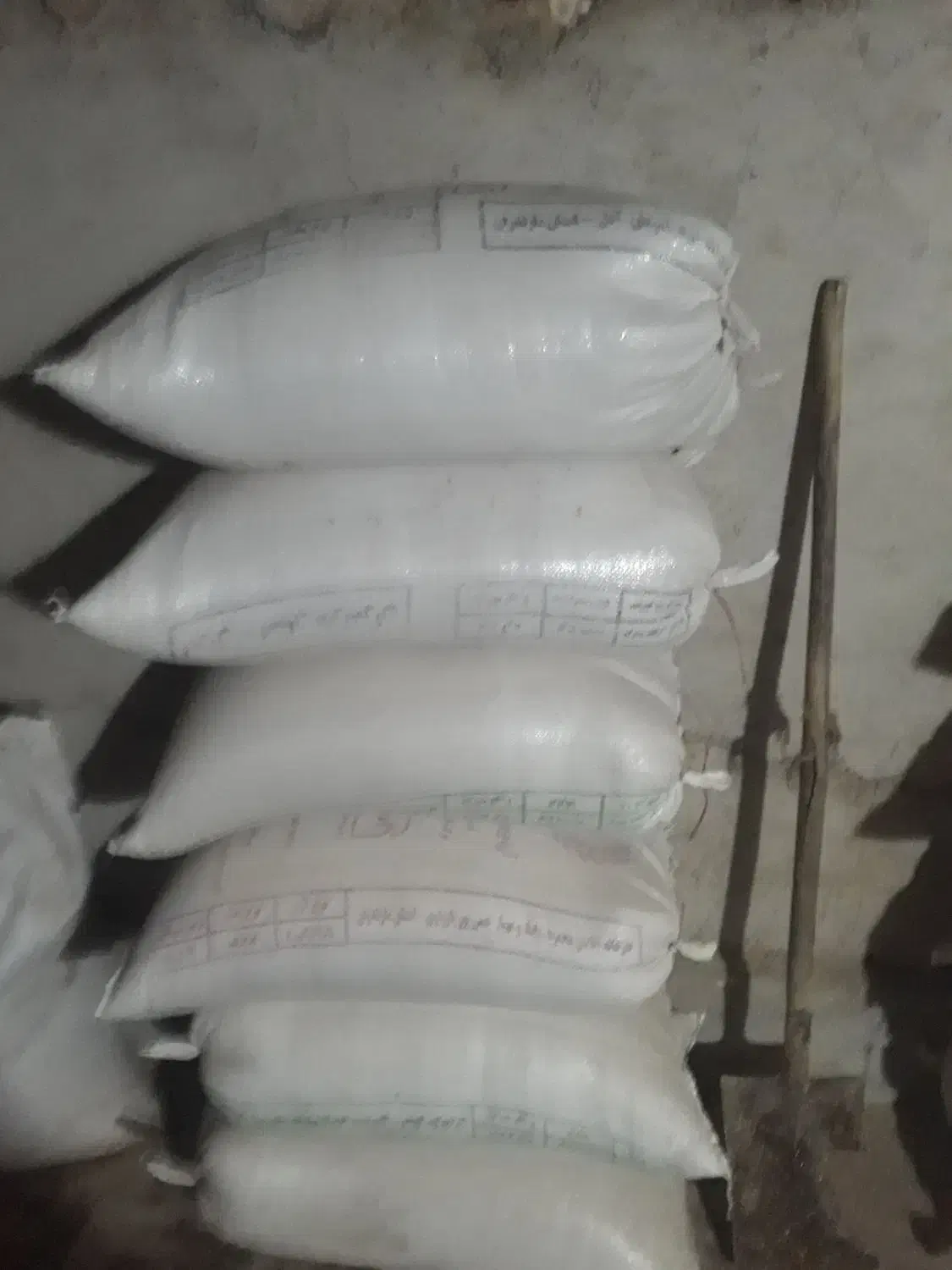 گندم بذر|خدمات باغبانی و درختکاری|سملقان, |دیوار