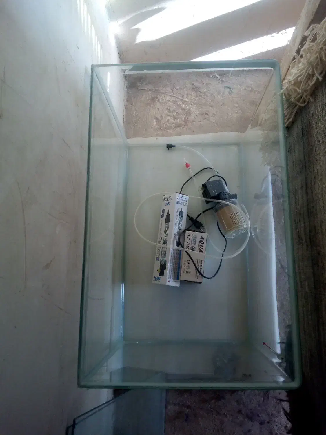 اگریوم|ماهی|بازرگان, |دیوار