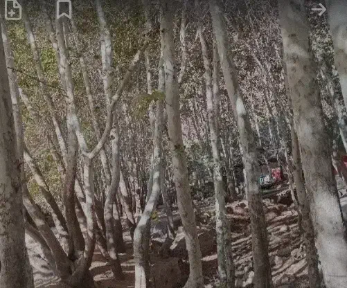 پارتنر گردش|فعالیت داوطلبانه|کرج, گلشهر|دیوار