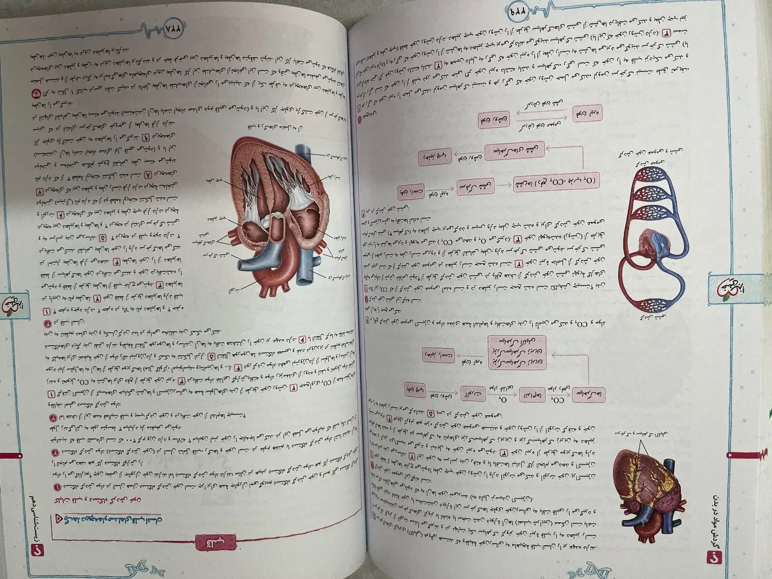 زیست شناسی دهم خیلی سبز|کتاب و مجله آموزشی|تهران, نیروی هوایی (پیروزی)|دیوار