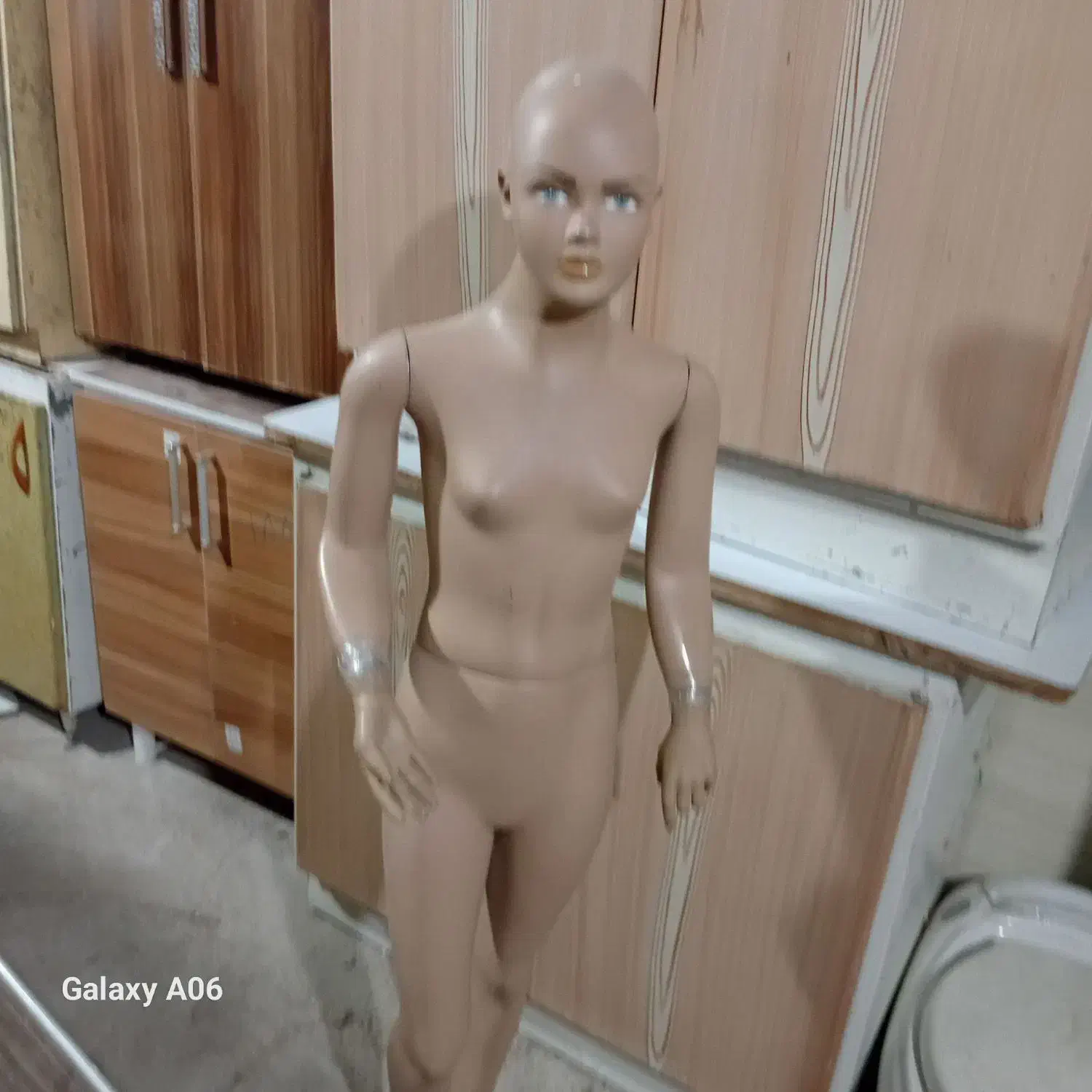 ما یکم|فروشگاه و مغازه|بجنورد, |دیوار