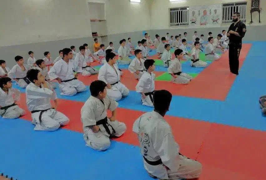 ورزش کاراته باشگاه ذوالفقار مهریز|خدمات آموزشی|مهریز, |دیوار