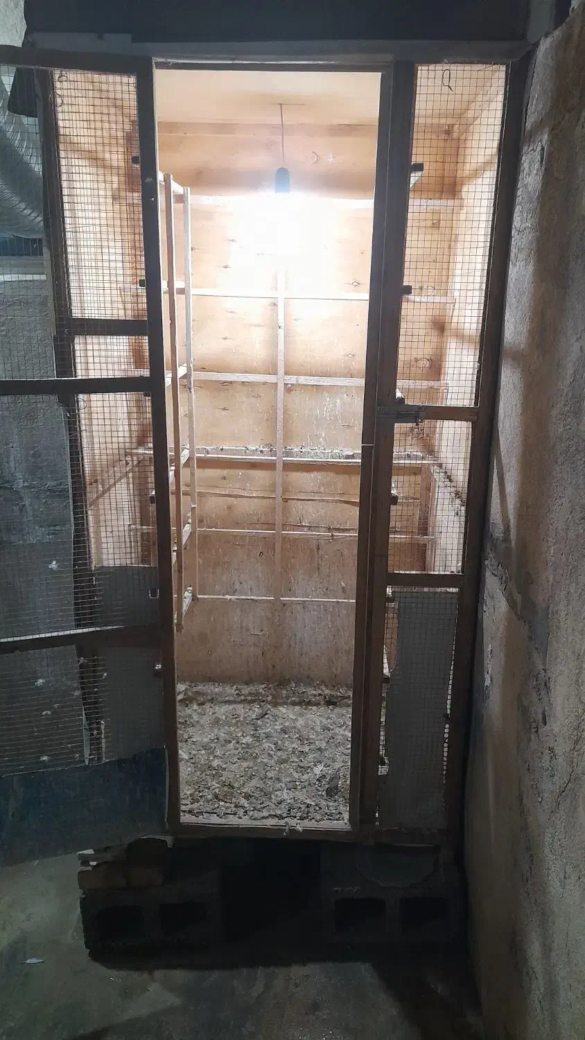 پرنده با قفس|پرنده|ایوان, |دیوار