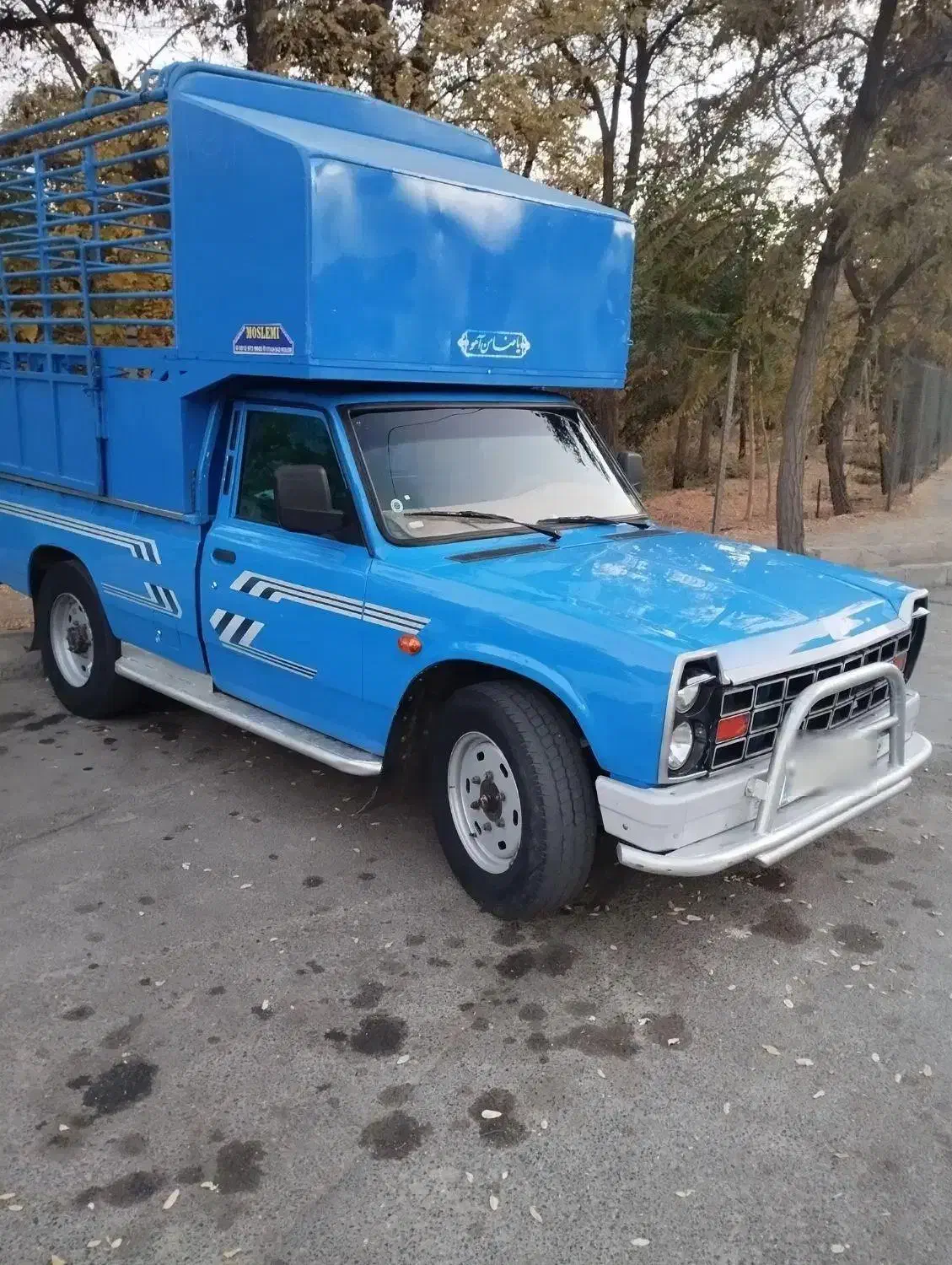 نیستان زامیاد مخصوص حمل دام زنده|خودرو سواری و وانت|اراک, |دیوار