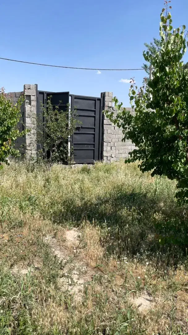 باغ چهاردیواری ۱۵۰۰متر دربهترین لوکیشن دهشادشهریار|فروش دفتر صنعتی، کشاورزی، تجاری|تهران, تهرانسر مرکزی|دیوار