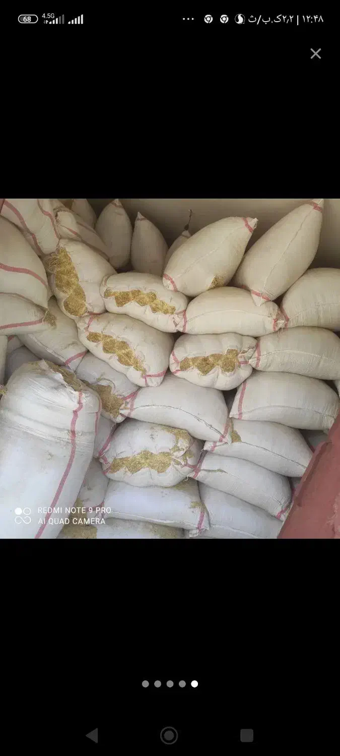 کاه گندم|لوازم جانبی حیوانات|نیمروز, |دیوار