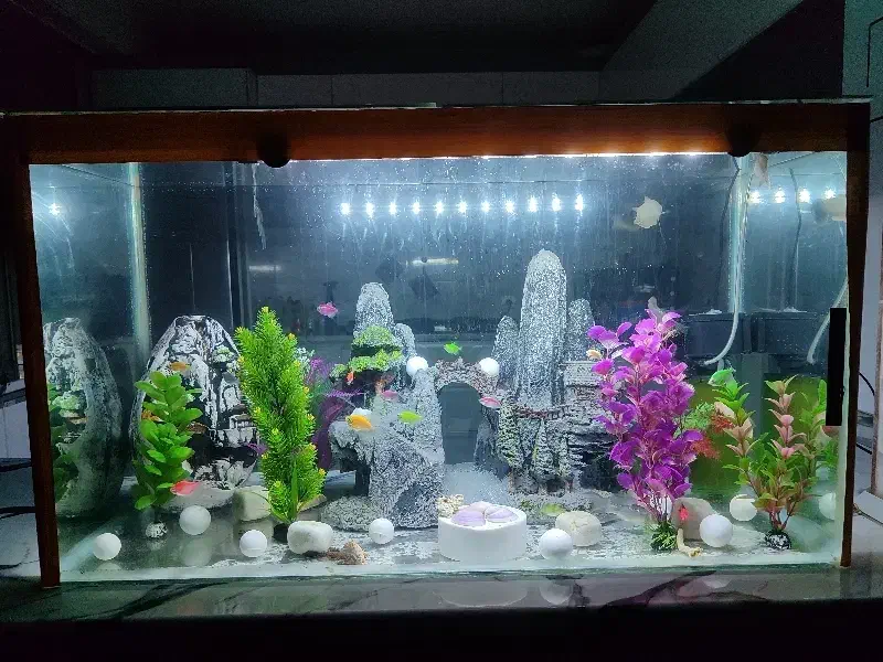 اکواریوم با وسایل کامل|ماهی|همدان, |دیوار