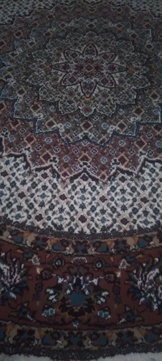 قالیچه ۱متر در ۱متر|فرش|اردبیل, |دیوار