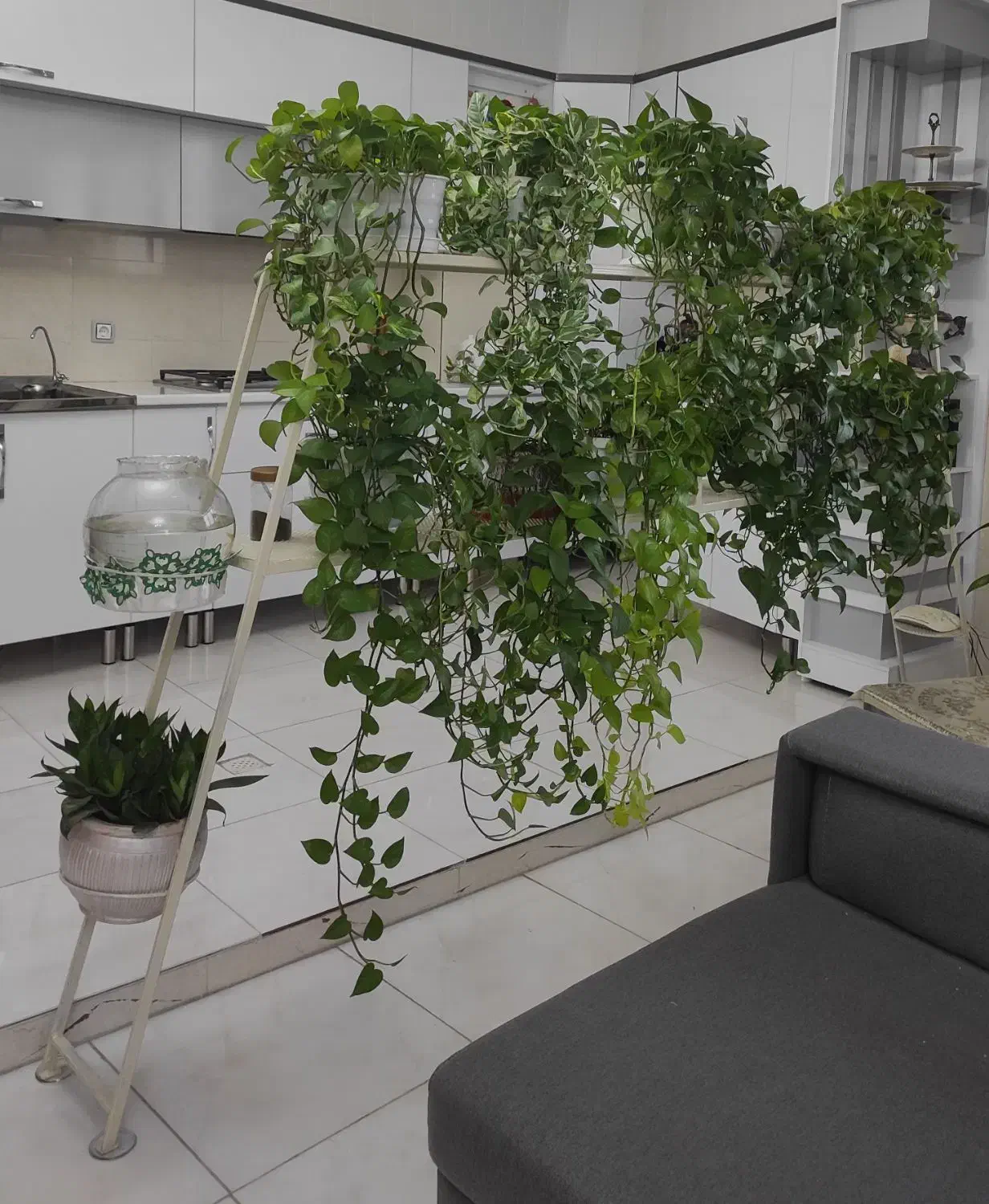 ساخت تخت خواب ،استند گل|تخت و سرویس خواب|مرودشت, ژیان|دیوار