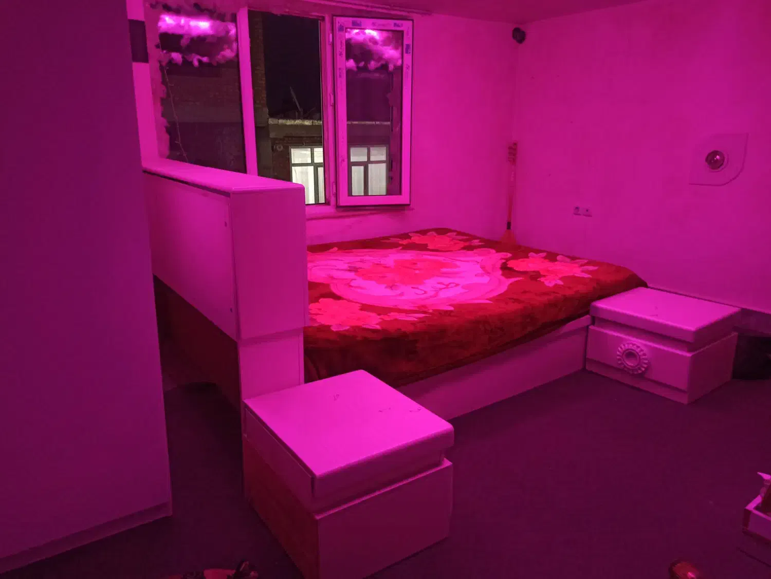 تختخواب|تخت و سرویس خواب|پیرانشهر, |دیوار