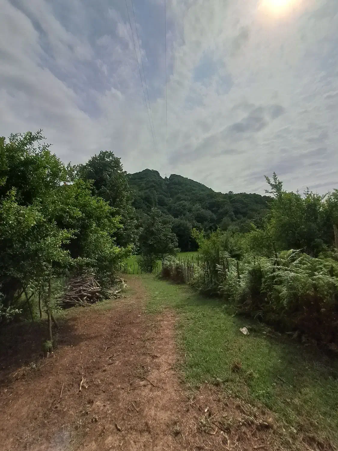 نیاز به یک سرایدار در روستا|استخدام سرایداری و نظافت|رستم‌آباد, |دیوار