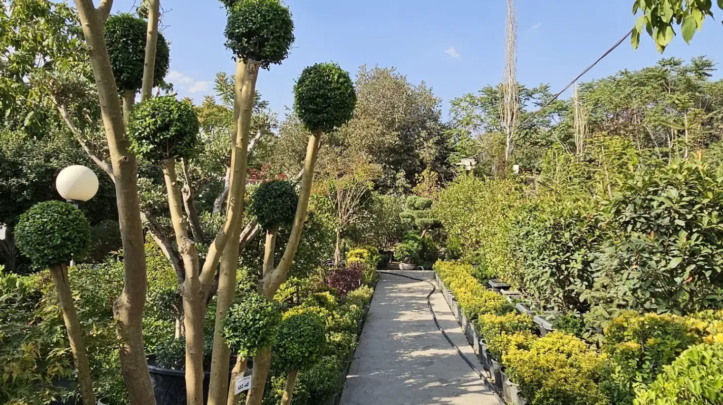 استخدام کارگر ساده آقا با جای خواب و امکانات|استخدام صنعتی، فنی، مهندسی|تهران, تجریش|دیوار