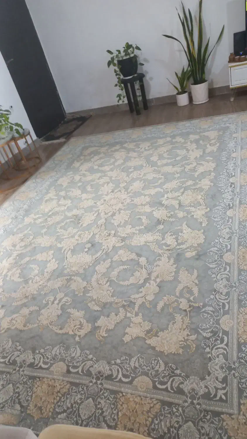 دوعددفرش ۹متری|فرش|نوشهر, |دیوار