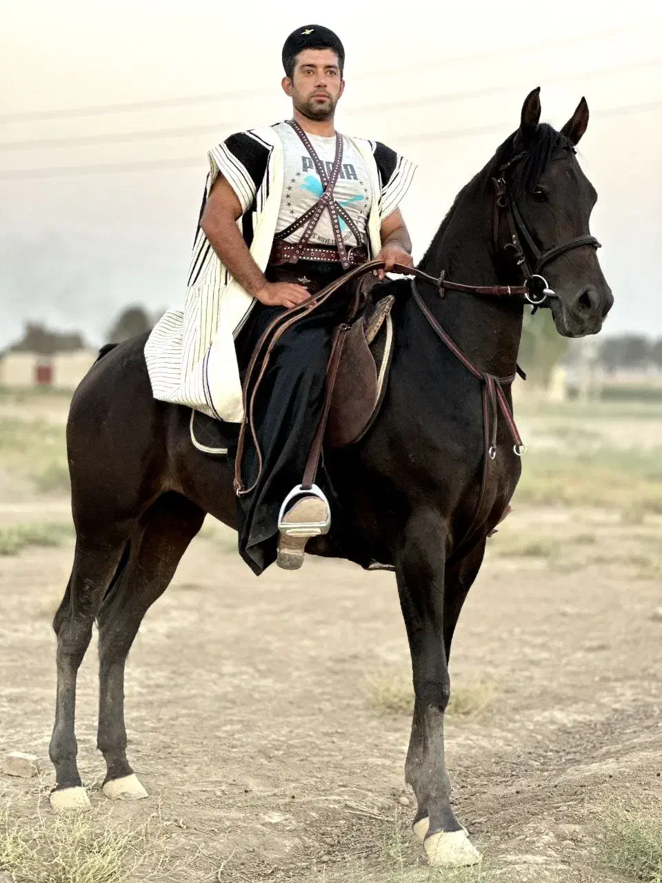 مادیون کرد|اسب و تجهیزات اسب‌سواری|ورامین, خیر آباد|دیوار