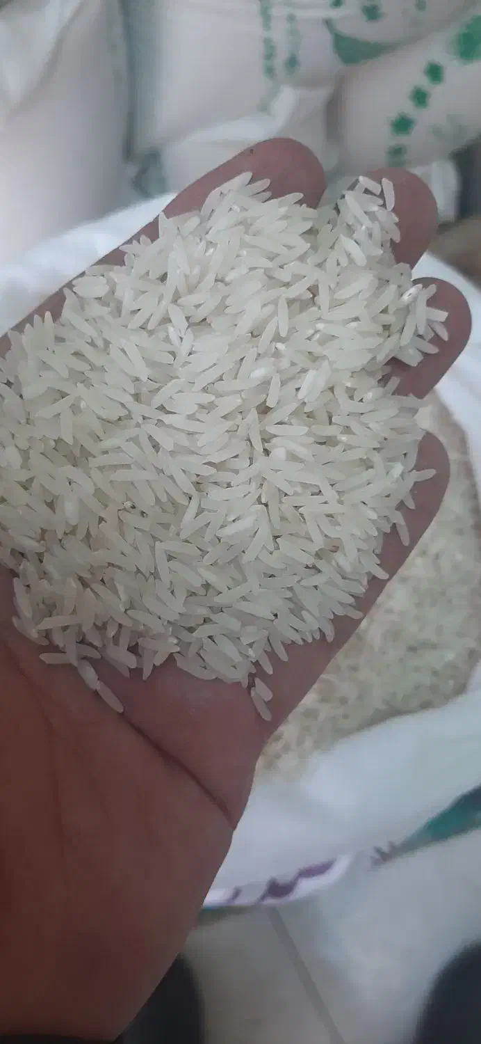 برنج فجر محلی درجه یک|خوردنی و آشامیدنی|تبریز, |دیوار